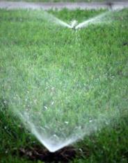 Our Boulder Sprinkler Repair Team Does Spray Heads