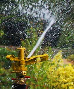 Our Boulder Sprinkler Repair Team Installs Rotary Sprinkler Heads