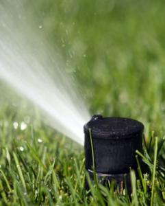 Our Boulder Sprinkler Repair Team Installs Directional Pop Up Heads