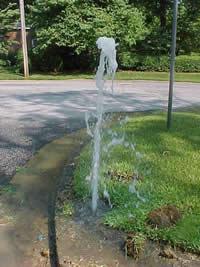 Our Boulder Irrigation Team Fixes Busted Spray Heads